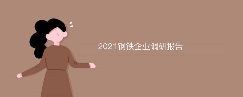 2021钢铁企业调研报告