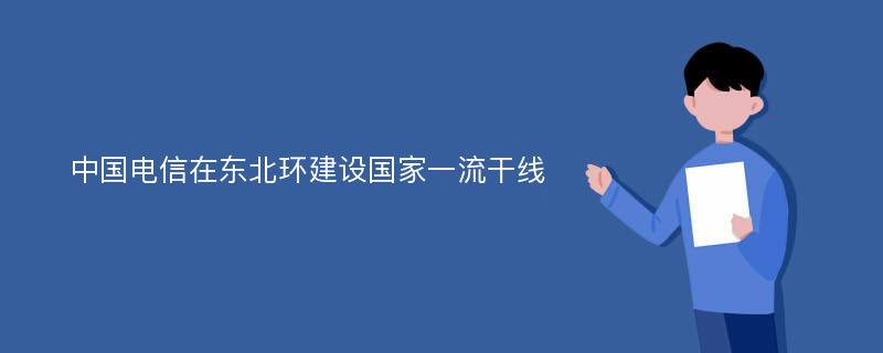 中国电信在东北环建设国家一流干线