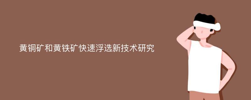 黄铜矿和黄铁矿快速浮选新技术研究