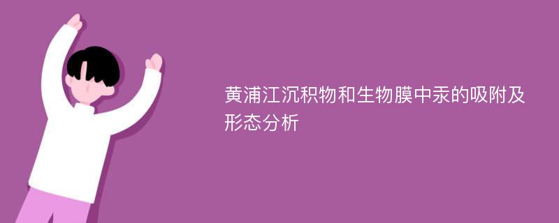 黄浦江沉积物和生物膜中汞的吸附及形态分析