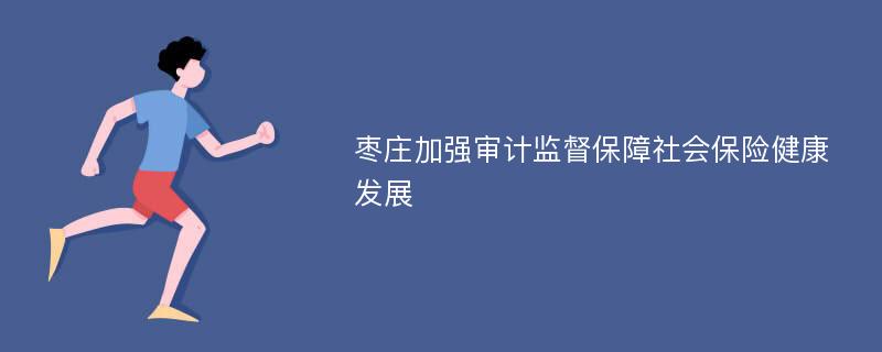 枣庄加强审计监督保障社会保险健康发展