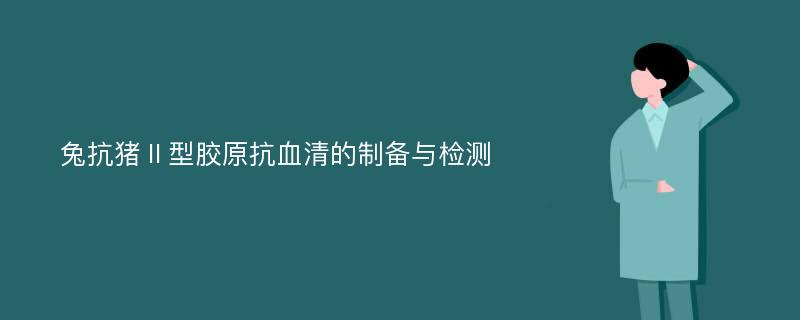 兔抗猪Ⅱ型胶原抗血清的制备与检测