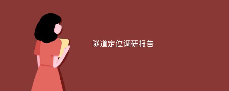 隧道定位调研报告