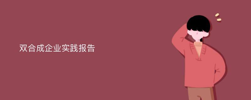 双合成企业实践报告