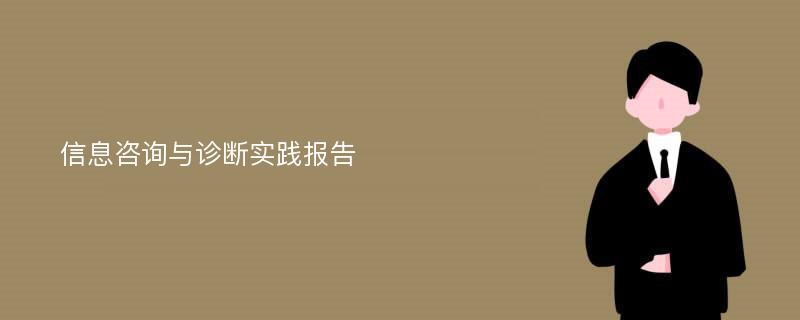 信息咨询与诊断实践报告