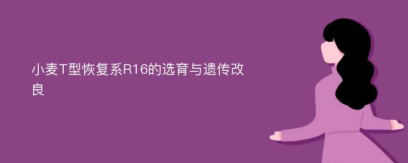 小麦T型恢复系R16的选育与遗传改良